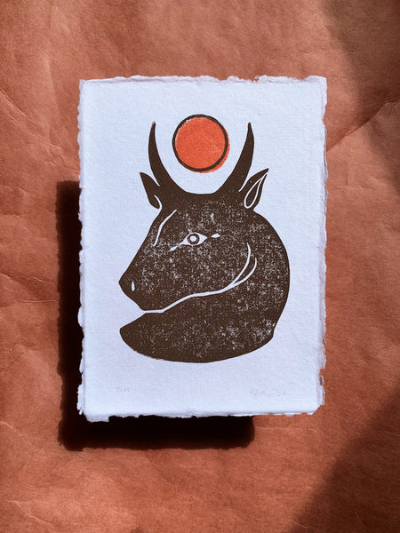 Toro Two-Color Block Print